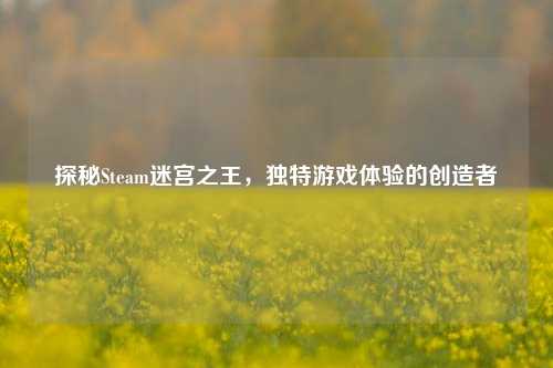 探秘Steam迷宫之王,独特游戏体验的创造者