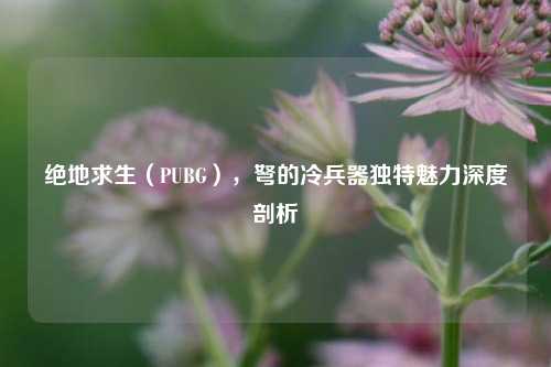 绝地求生(PUBG),弩的冷兵器独特魅力深度剖析