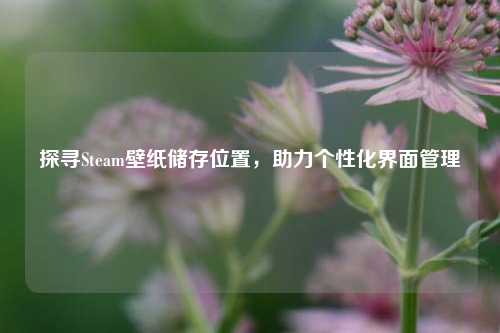 探寻Steam壁纸储存位置,助力个性化界面管理