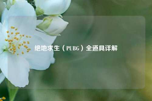 绝地求生(PUBG)全道具详解