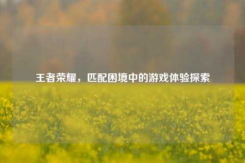 王者荣耀,匹配困境中的游戏体验探索