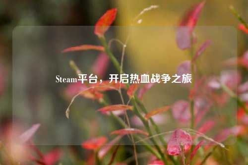 Steam平台,开启热血战争之旅