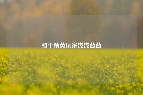 和平精英玩家浅浅蓝蓝