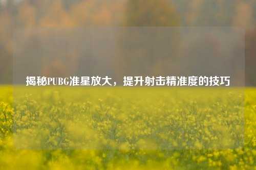 揭秘PUBG准星放大,提升射击精准度的技巧