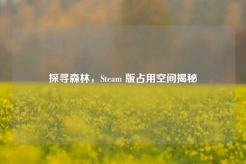 探寻森林,Steam 版占用空间揭秘