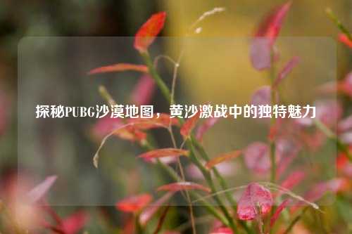 探秘PUBG沙漠地图,黄沙激战中的独特魅力