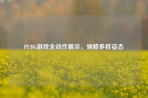 PUBG游戏全动作展示,领略多样姿态