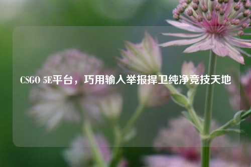 CSGO 5E平台,巧用输入举报捍卫纯净竞技天地