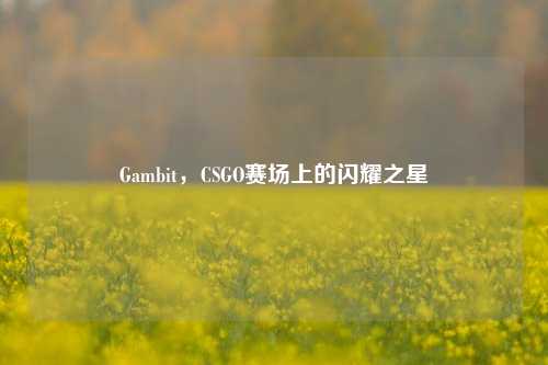 Gambit,CSGO赛场上的闪耀之星