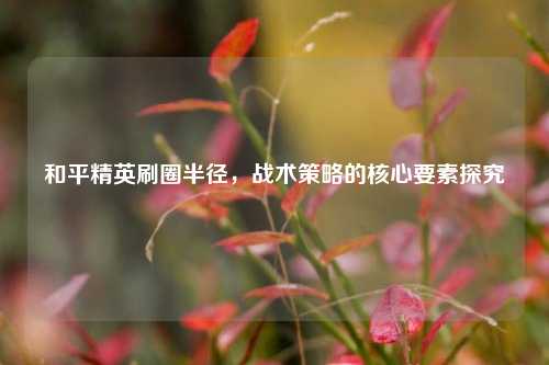 和平精英刷圈半径,战术策略的核心要素探究