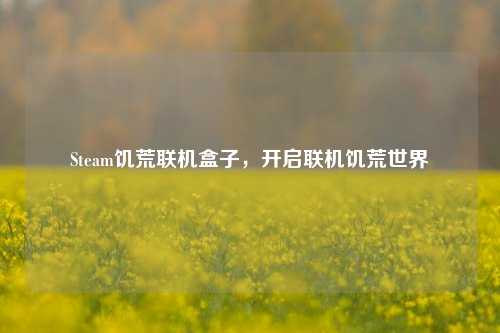 Steam饥荒联机盒子,开启联机饥荒世界