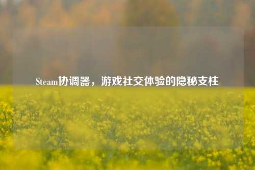 Steam协调器,游戏社交体验的隐秘支柱