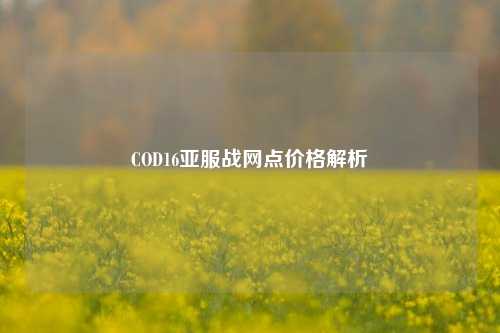 COD16亚服战网点价格解析