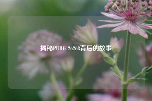 揭秘PUBG 26268背后的故事