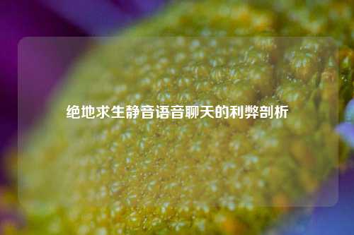 绝地求生静音语音聊天的利弊剖析