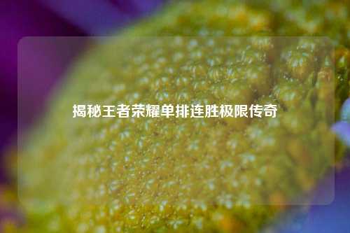 揭秘王者荣耀单排连胜极限传奇