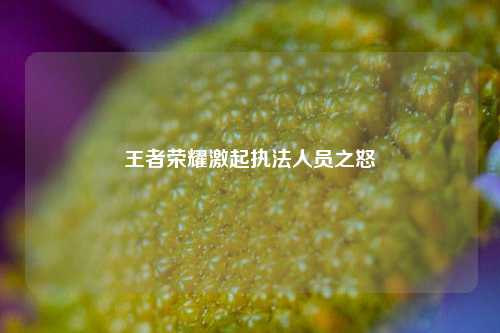 王者荣耀激起执法人员之怒