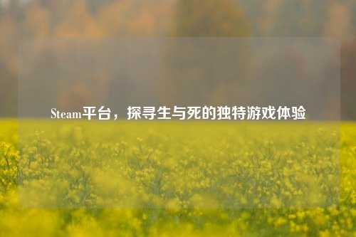 Steam平台,探寻生与死的独特游戏体验