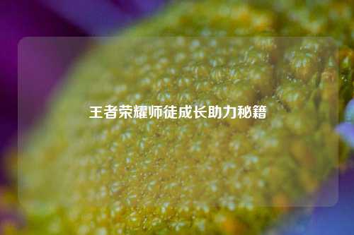 王者荣耀师徒成长助力秘籍