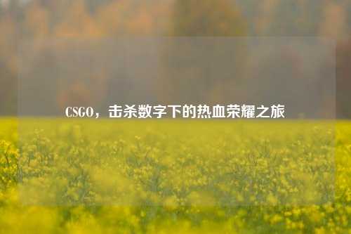 CSGO,击杀数字下的热血荣耀之旅