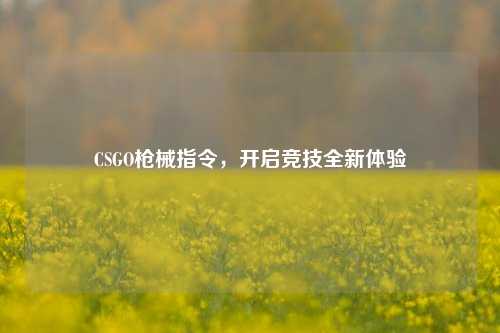 CSGO枪械指令,开启竞技全新体验
