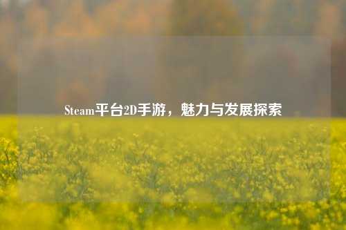 Steam平台2D手游,魅力与发展探索