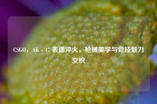 CSGO,AK - 47 表面淬火,枪械美学与竞技魅力交织