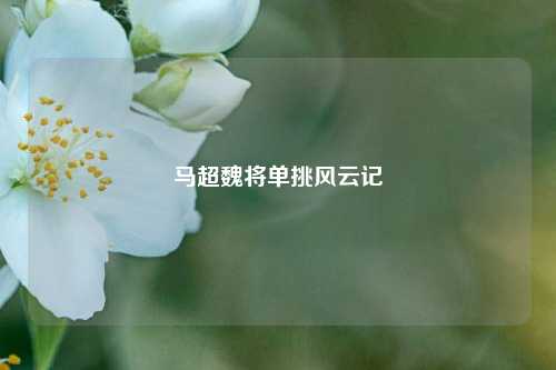 马超魏将单挑风云记
