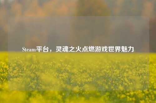 Steam平台,灵魂之火点燃游戏世界魅力