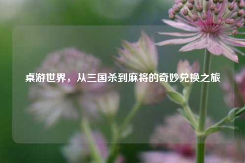 桌游世界,从三国杀到麻将的奇妙兑换之旅