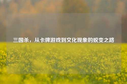 三国杀,从卡牌游戏到文化现象的蜕变之路