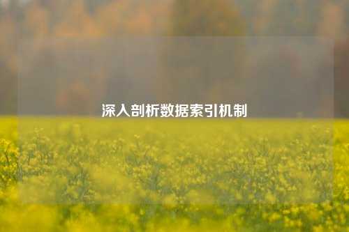 深入剖析数据索引机制