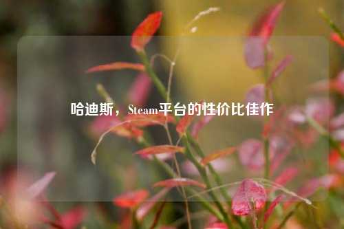 哈迪斯,Steam平台的性价比佳作