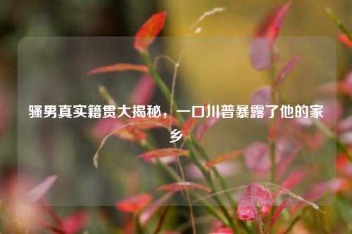 骚男真实籍贯大揭秘,一口川普暴露了他的家乡