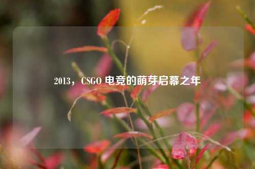 2013,CSGO 电竞的萌芽启幕之年