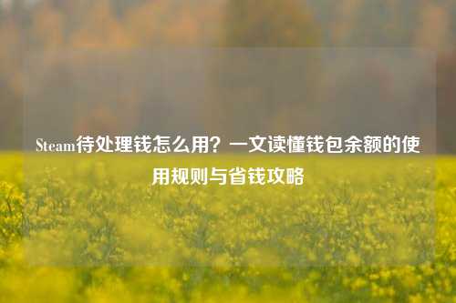 Steam待处理钱怎么用?一文读懂钱包余额的使用规则与省钱攻略