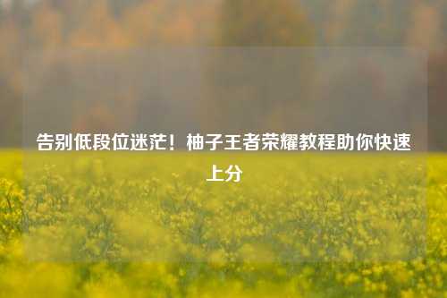 告别低段位迷茫!柚子王者荣耀教程助你快速上分