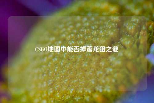 CSGO地图中能否掉落龙狙之谜