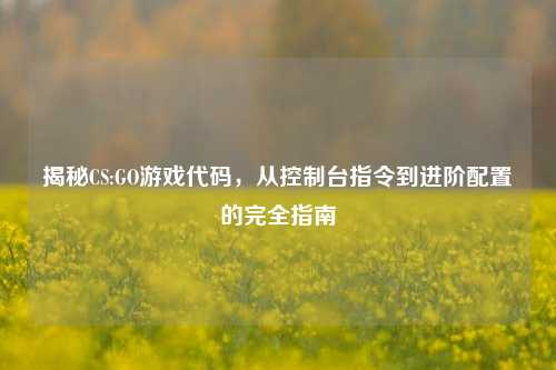 揭秘CS:GO游戏代码,从控制台指令到进阶配置的完全指南