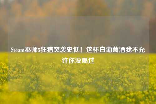 Steam巫师3狂猎突袭史低!这杯白葡萄酒我不允许你没喝过