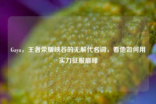 Gaya,王者荣耀峡谷的无解代名词,看他如何用实力征服巅峰
