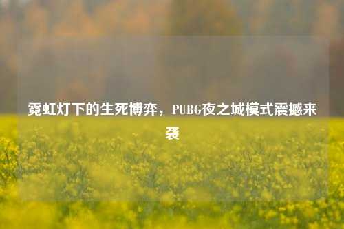 霓虹灯下的生死博弈,PUBG夜之城模式震撼来袭