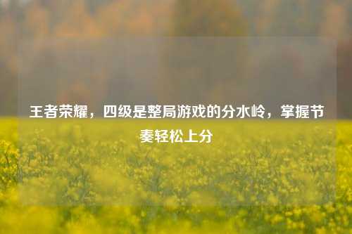 王者荣耀,四级是整局游戏的分水岭,掌握节奏轻松上分