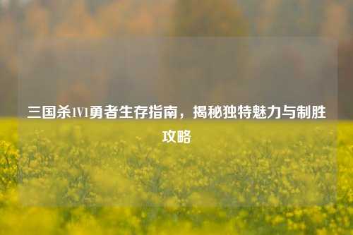 三国杀1V1勇者生存指南,揭秘独特魅力与制胜攻略