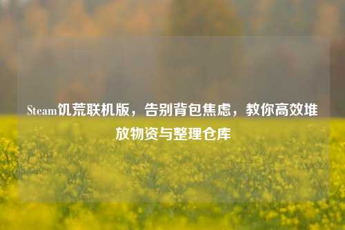 Steam饥荒联机版,告别背包焦虑,教你高效堆放物资与整理仓库