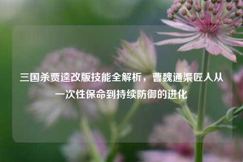 三国杀贾逵改版技能全解析,曹魏通渠匠人从一次性保命到持续防御的进化