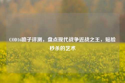 COD16喷子评测,盘点现代战争近战之王,贴脸秒杀的艺术