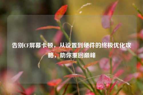 告别CF屏幕卡顿,从设置到硬件的终极优化攻略,助你重回巅峰