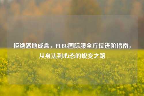 拒绝落地成盒,PUBG国际服全方位进阶指南,从身法到心态的蜕变之路