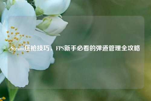 Steam压枪技巧,FPS新手必看的弹道管理全攻略